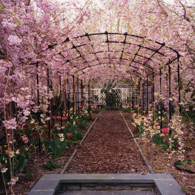 Monet Pergola Gloss Black