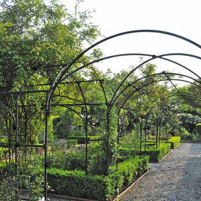 Garden pathway with metal arches and greenery