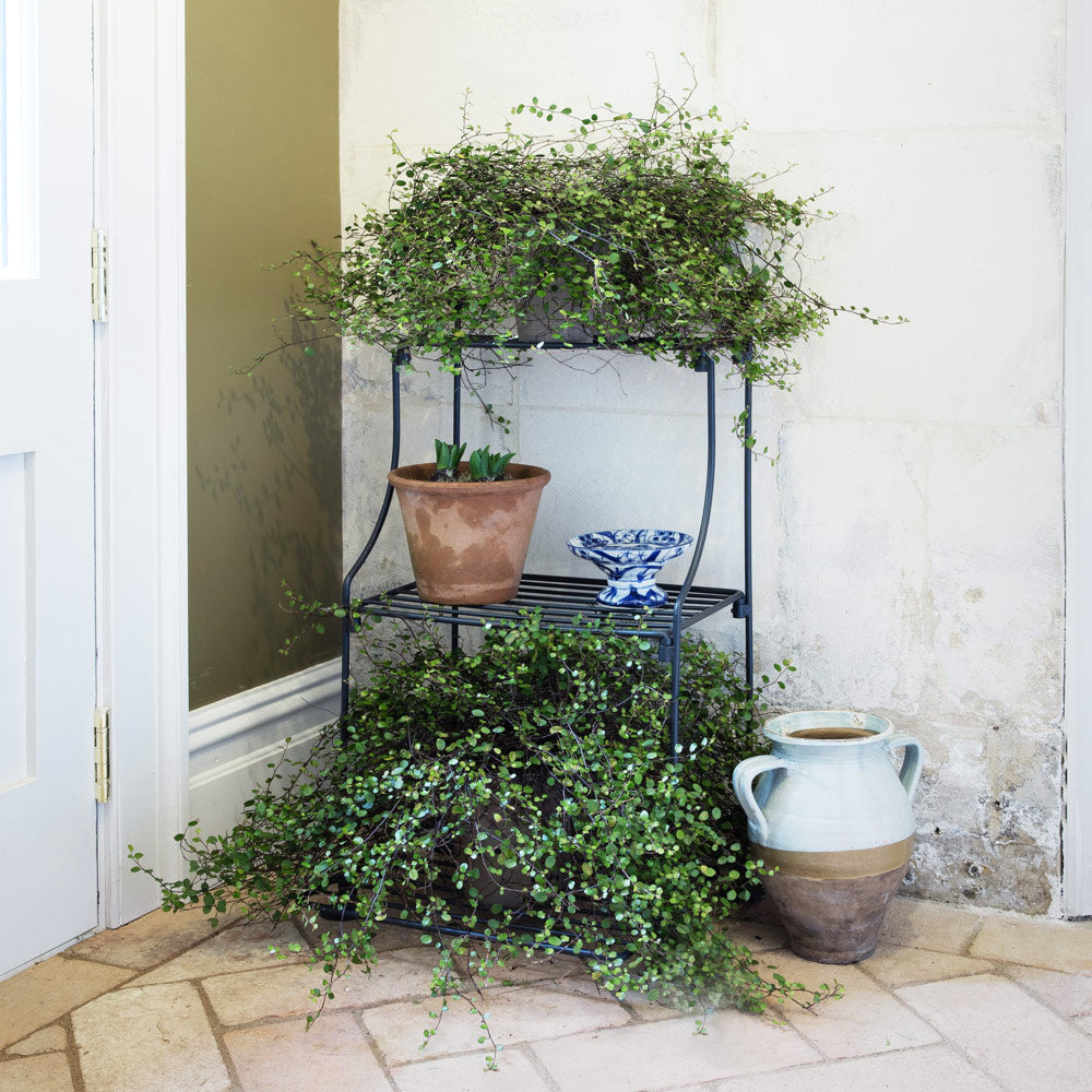 Plant tables outdoor hotsell