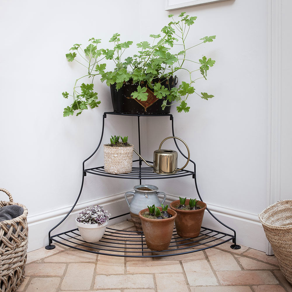 Quadrant tiered plant stand in a black finish