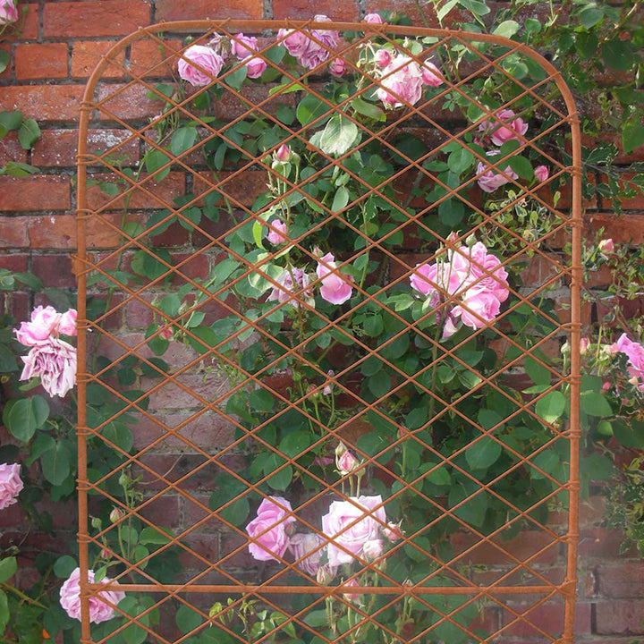 Elegance Monet Trellis