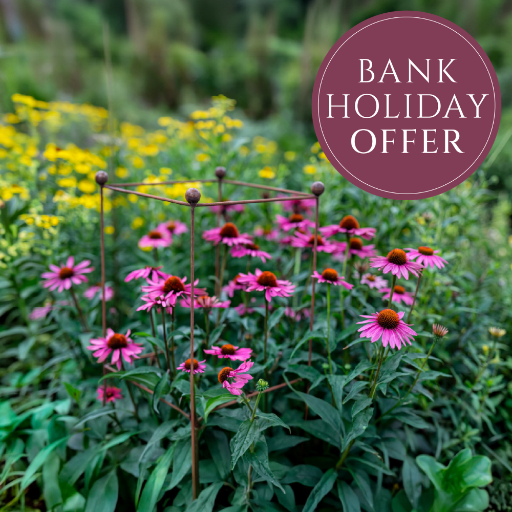Agriframes plant support bank holiday offer 