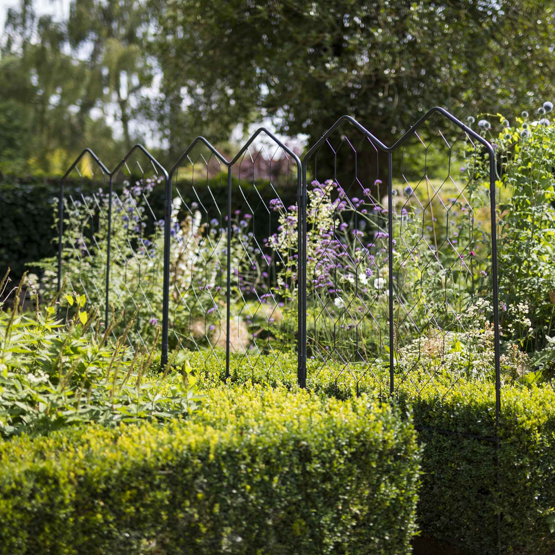 Agriframes Alpine Screen on the edge of a path