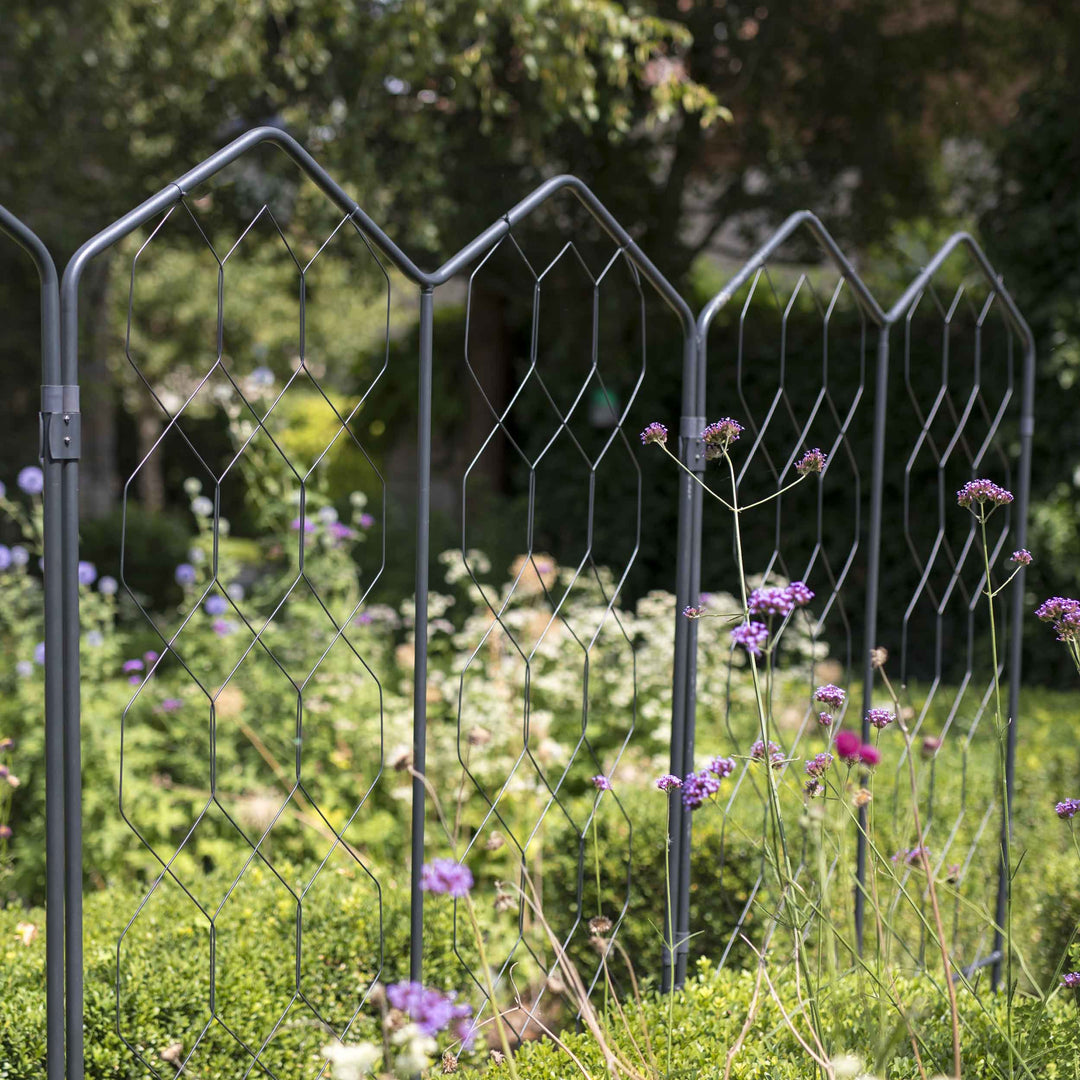 Agriframes Alpine Screen close up