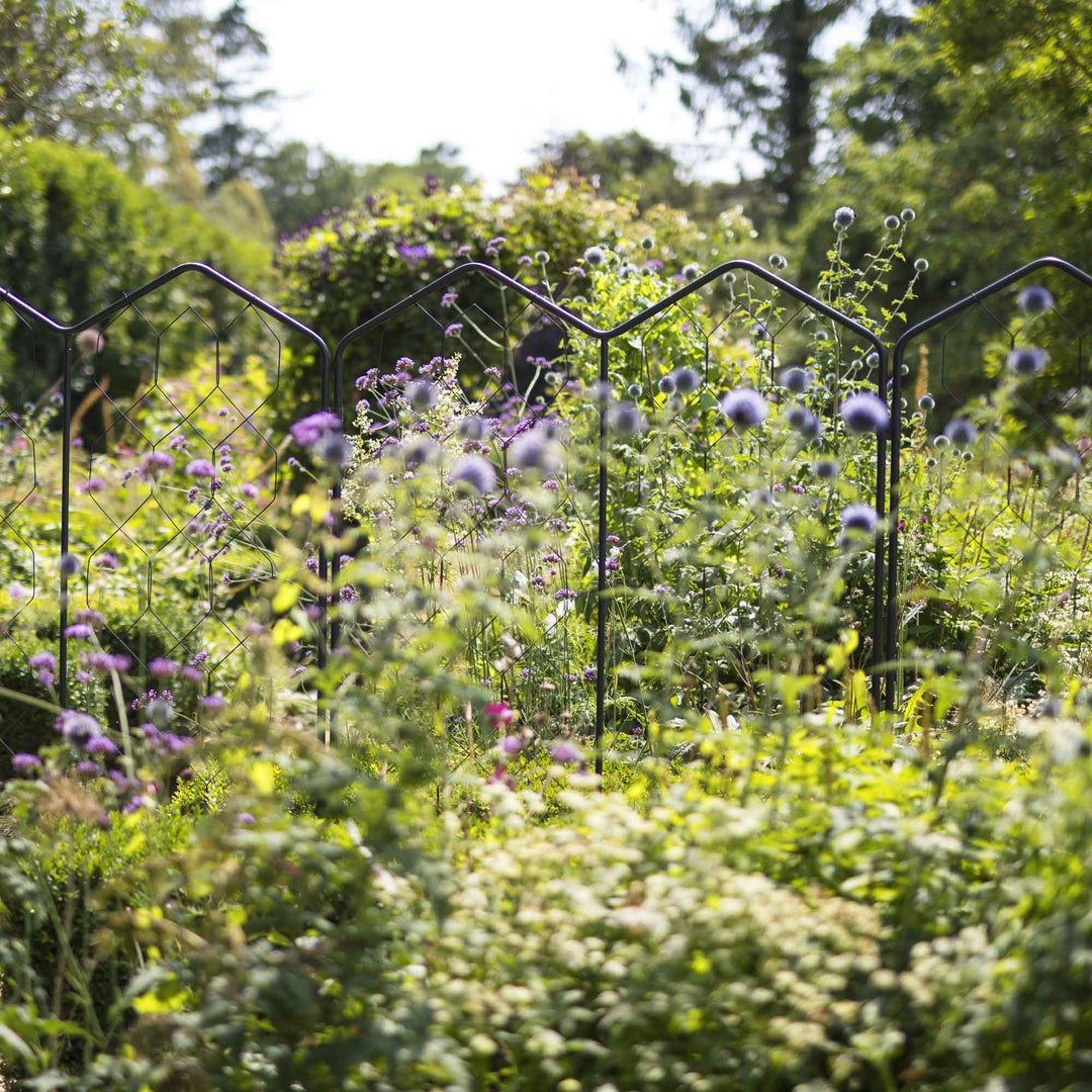 Agriframes Alpine Screen through a flower bed