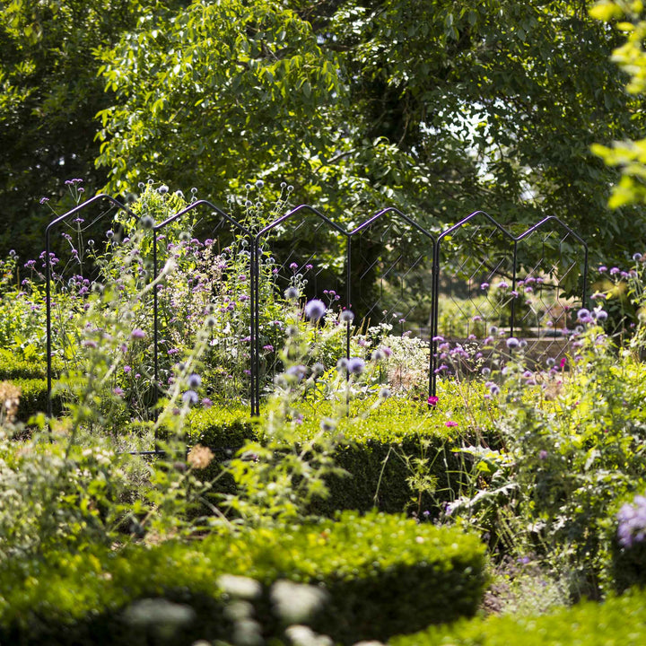 Agriframes Alpine Screen from a distance across a garden