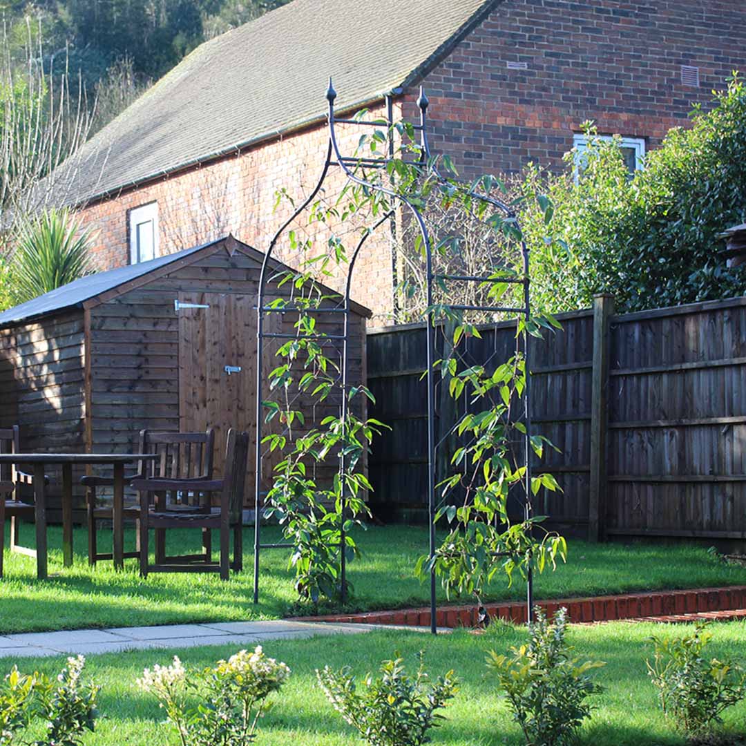 Gothic Arch with flowering growing up