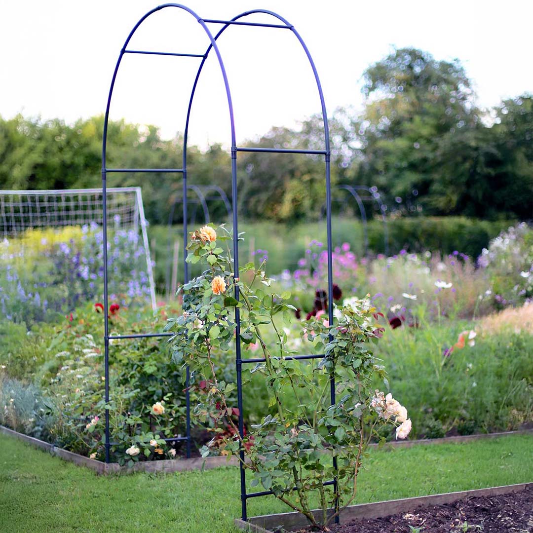round-arch-with-roses-growing-below