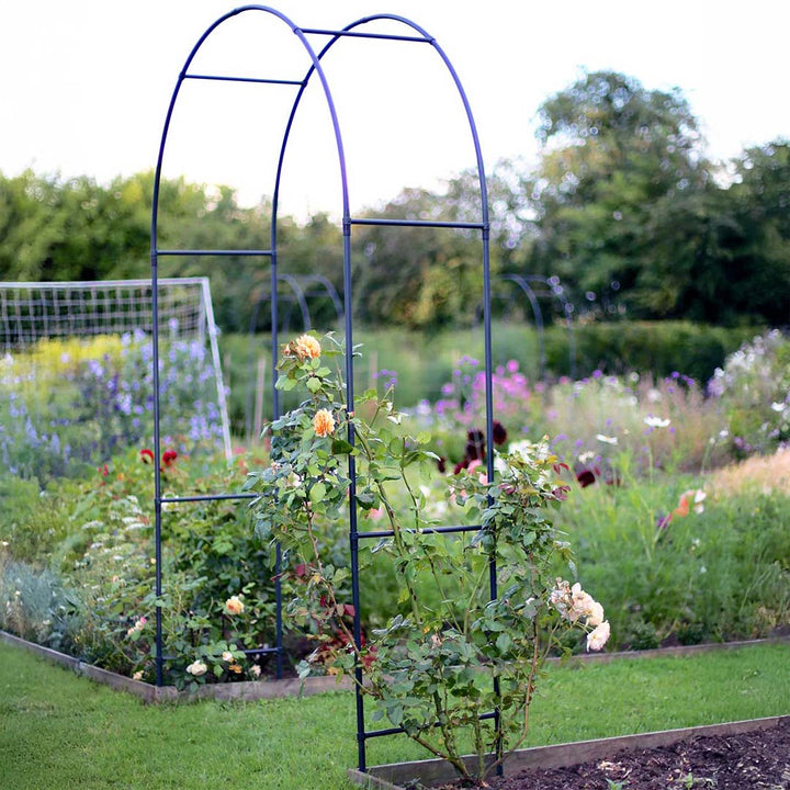 round-arch-with-roses-growing-below