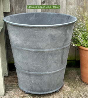 classic hooped zinc planter in claudias garden