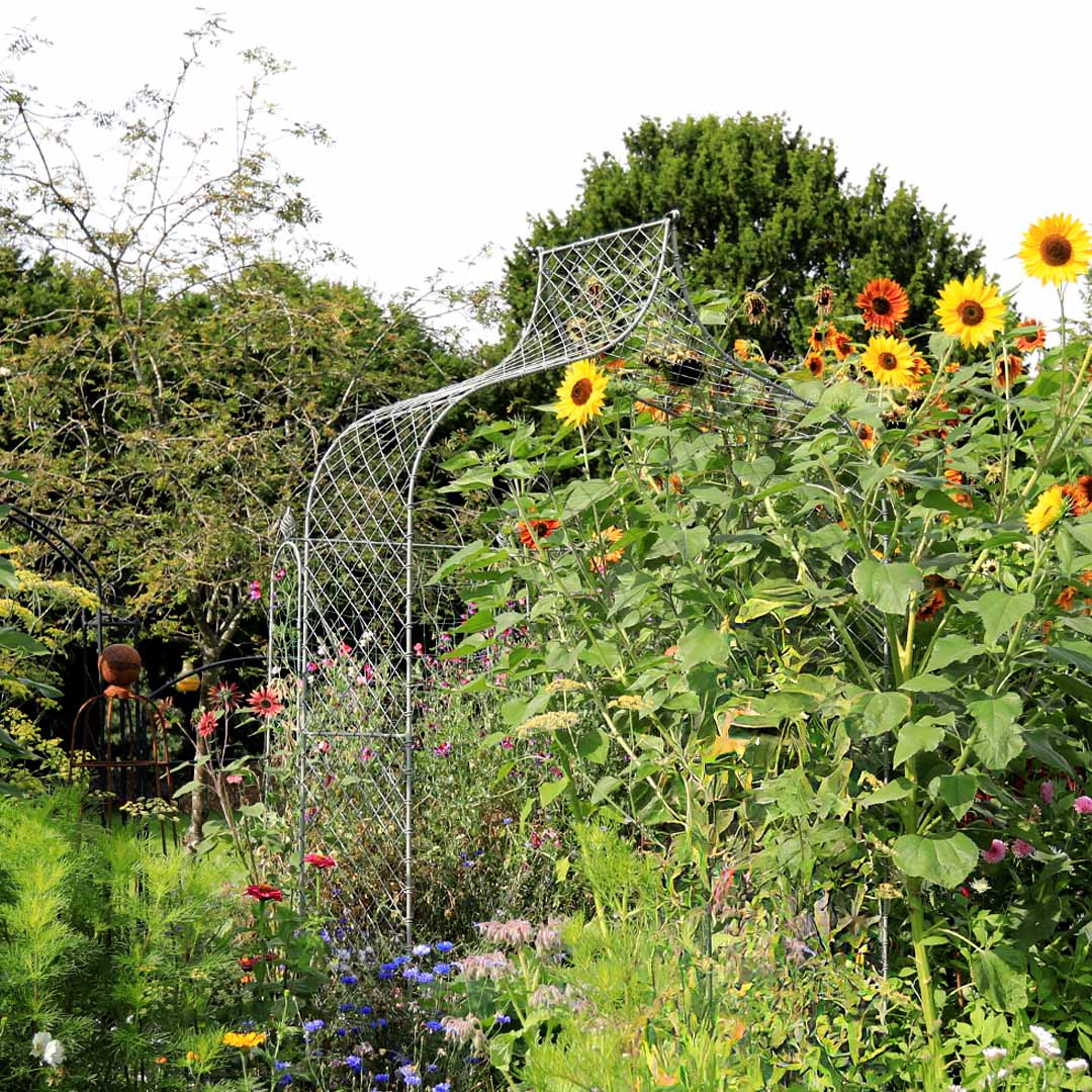 elegance-gothic-arch-sunflowers-growing