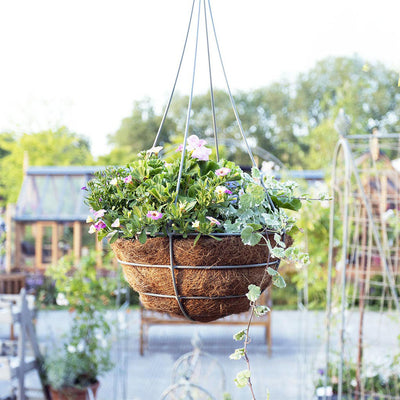 Elegance hanging basket in bluebell colour with pink flowers