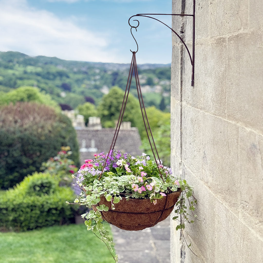 elegance-hanging-basket-with-flowers-growing-out