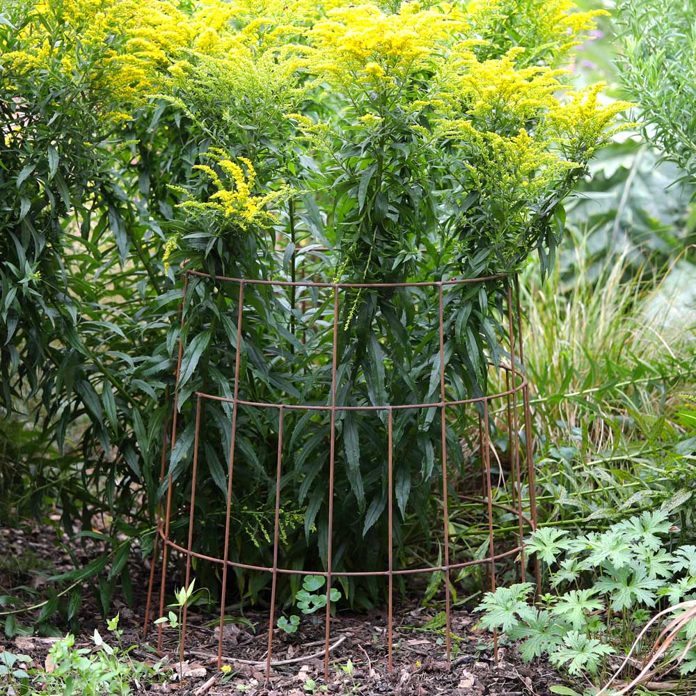 Elegance Round Plant Support