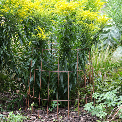 Elegance Round Plant Support