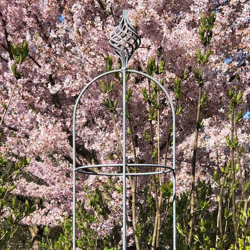 Elegance Obelisk Bluebell