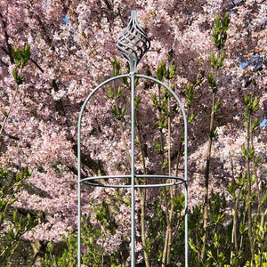 Elegance Obelisk Bluebell