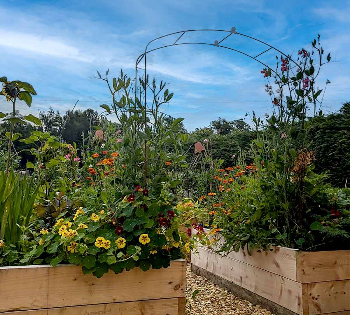 Elegance fine arch set in flower filled, raised beds, against a blue sky