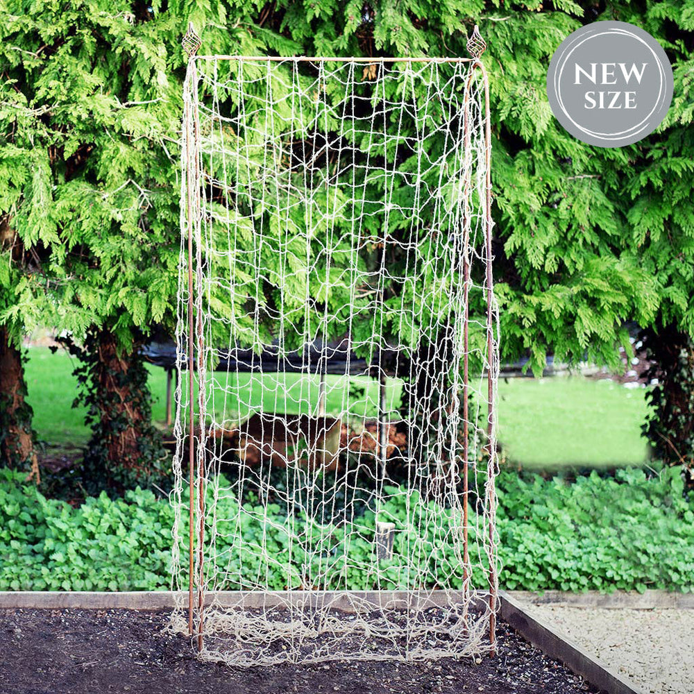 Elegance Runner Bean Frame in Rustic Single Size