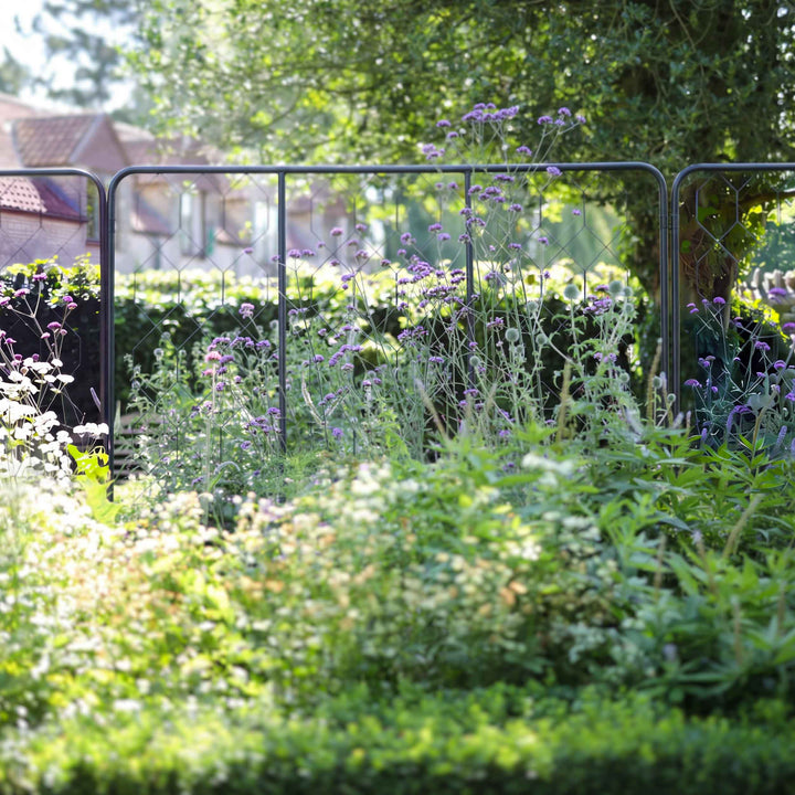 Agriframes standard flat fencing screens in a row installed in a flowerbed.