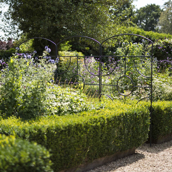 Agriframes georgian monet screens linked together on the edge of a flower bed