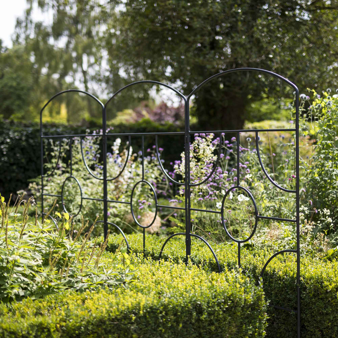 Agriframes georgian monet screens linked together in a narrow flowerbed with different types of flower growing up the frames