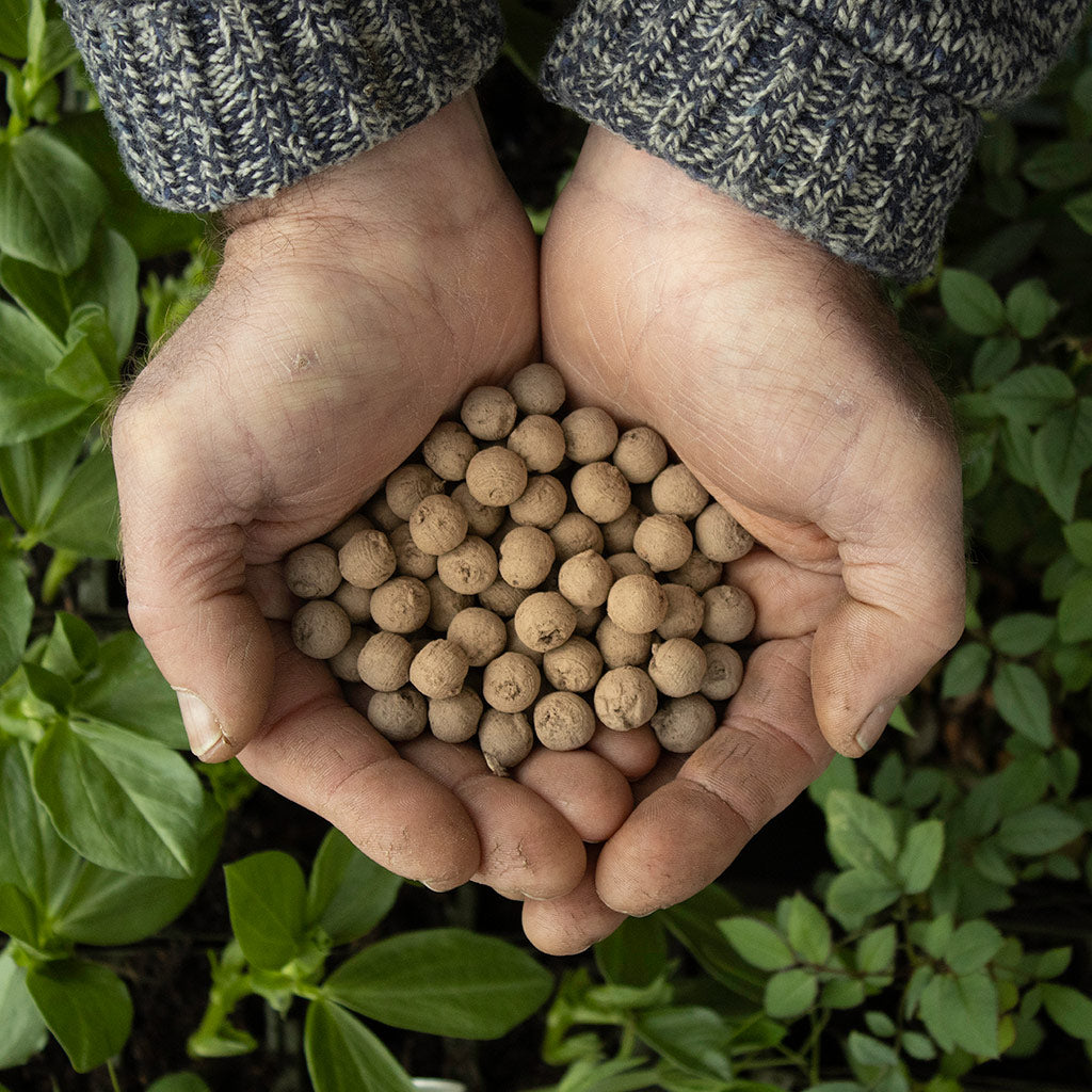 Wildflower Seedballs