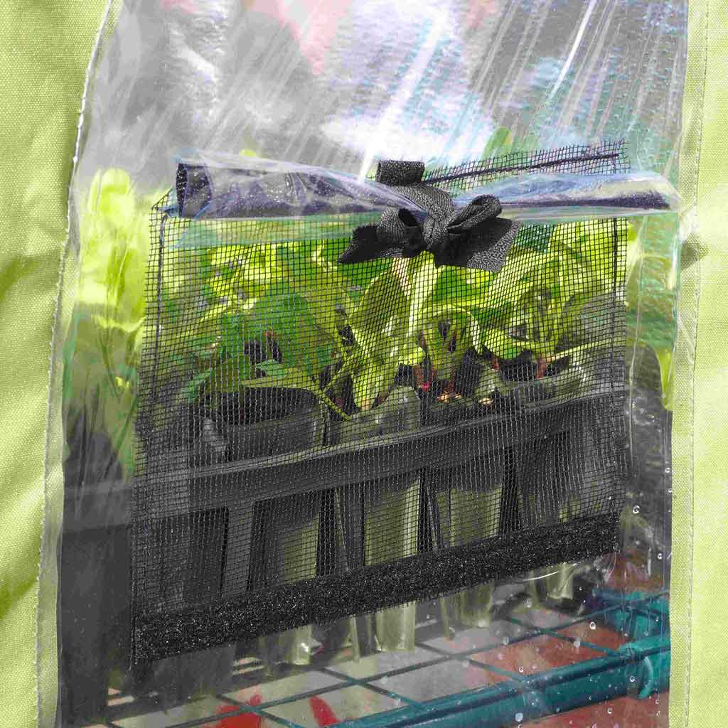 Light-Booster Coldframe | Agriframes – Agriframes UK