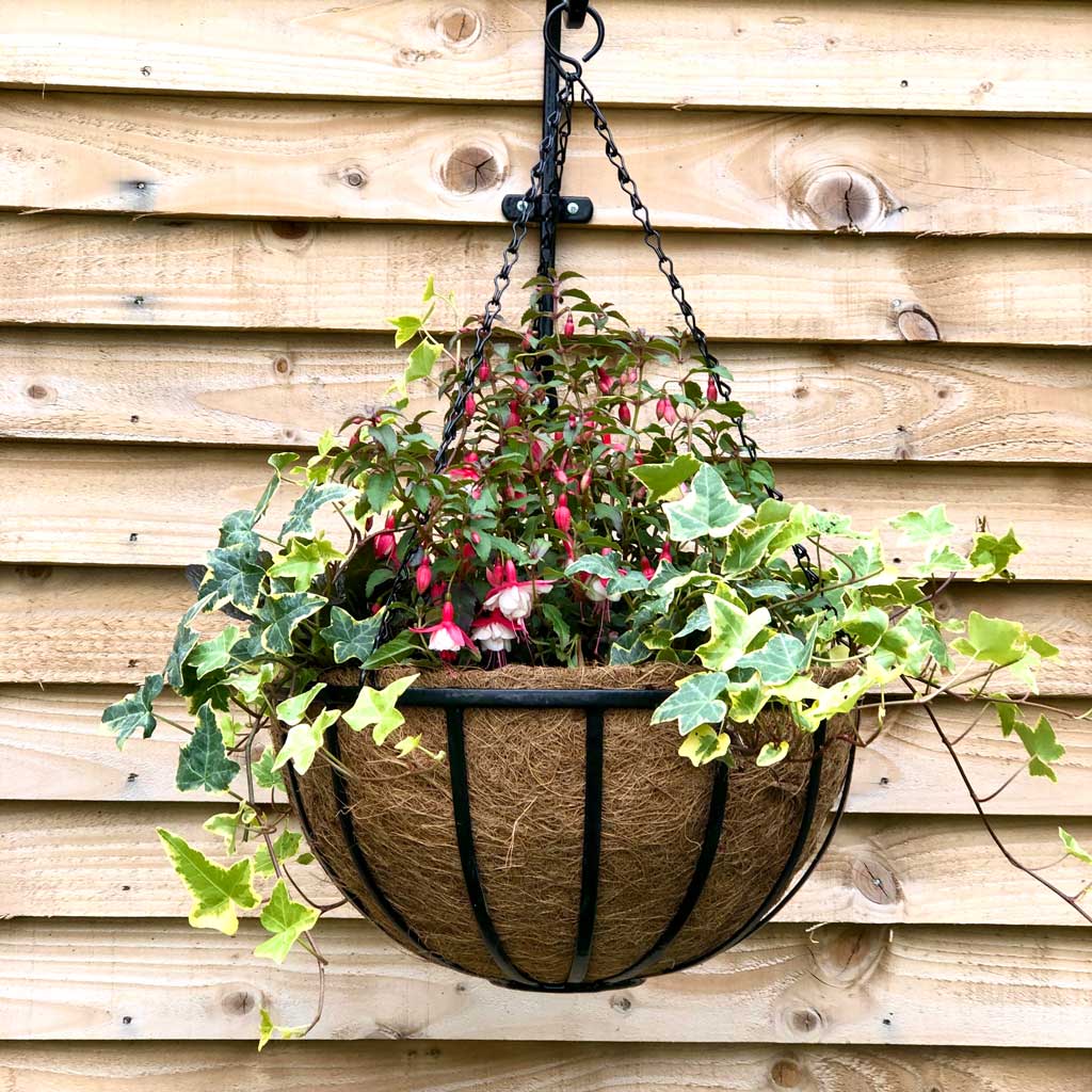 hanging basket with flowers