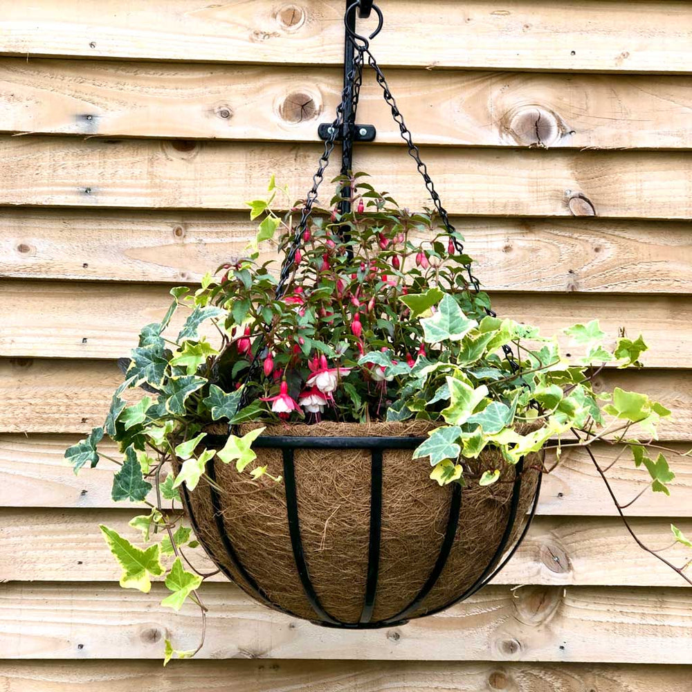 hanging-basket-with-plant-growing-out-against-wooden-fence