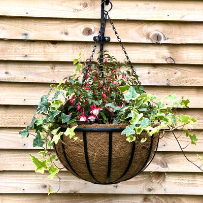 Pre-formed Coco Basket Liner 16" 40cm