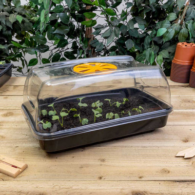 Heated Propagator