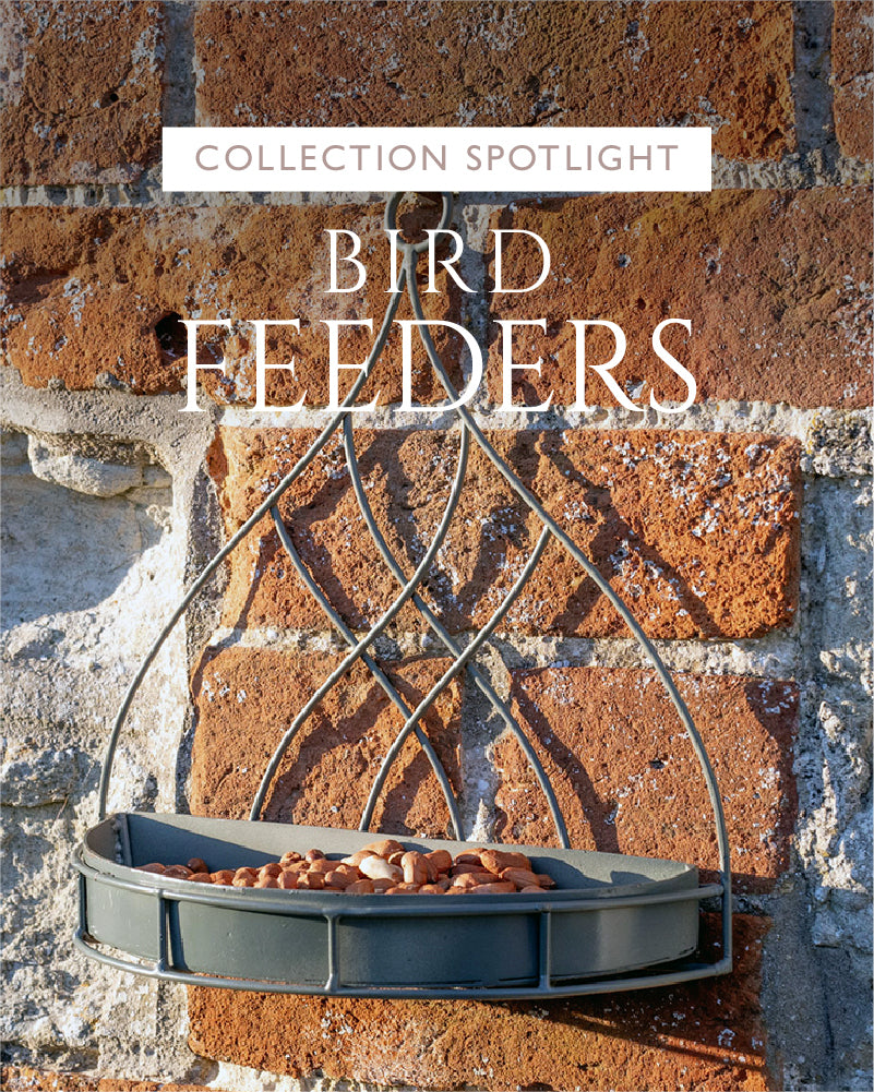 Bird feeder hanging on a brick wall with 'Collection Spotlight: Bird Feeders' text.