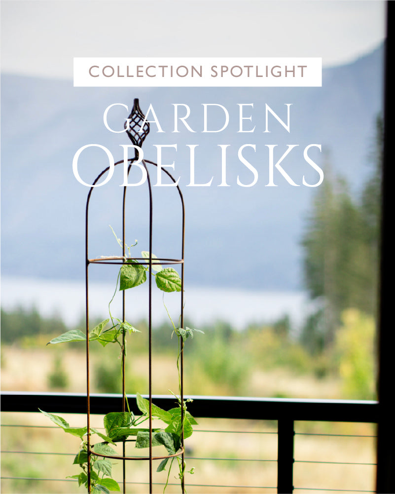 Garden obelisk with climbing plants against a blurred natural background