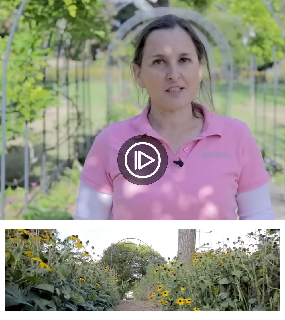 agriframes-video