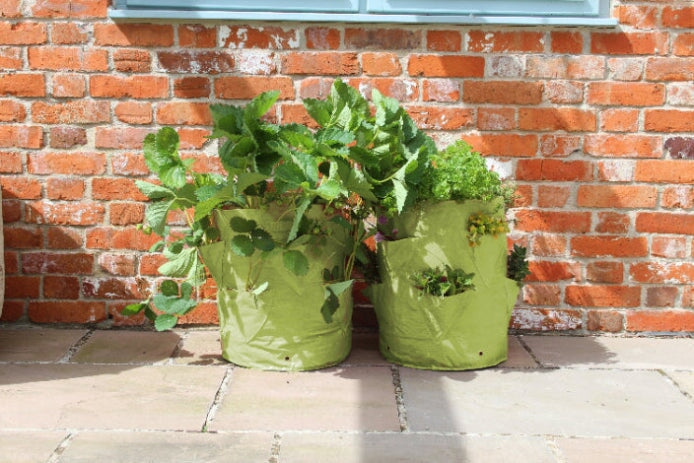 Strawberry Herb Planter