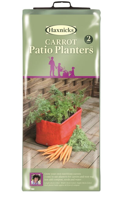 Carrot Patio Planter (Pack of 2)