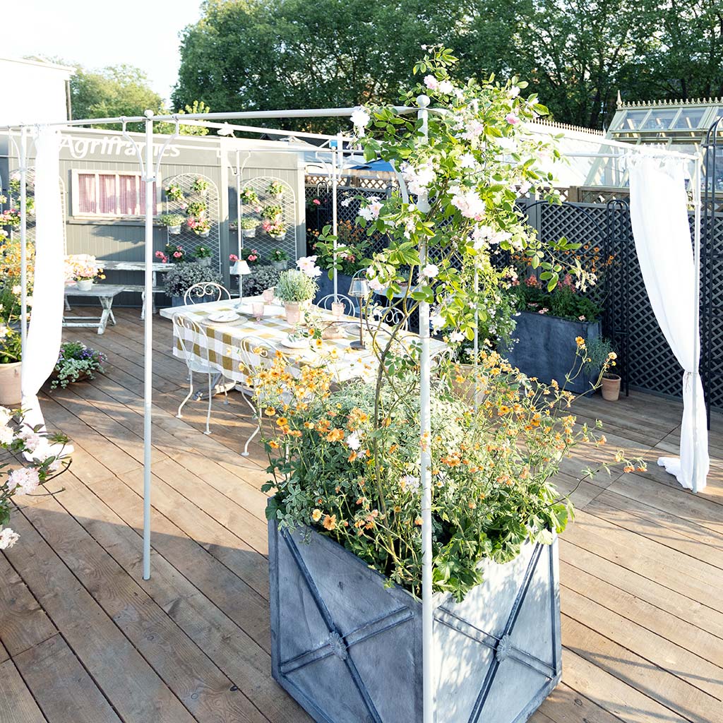 Provence Pergola
