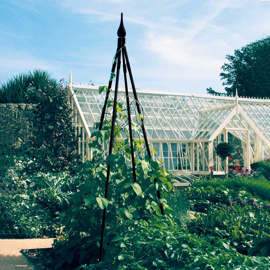 Plant Frames - Plant Climbing Frames | Agriframes