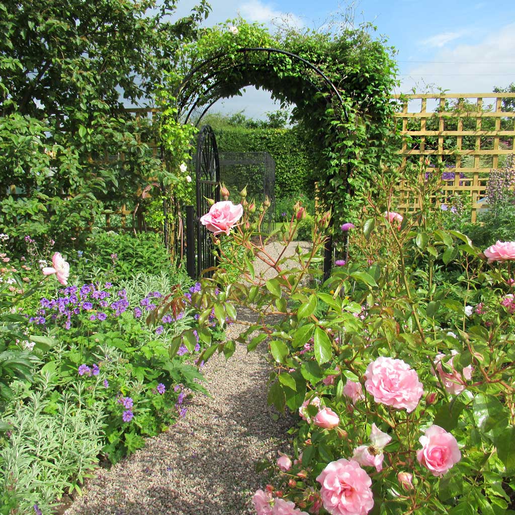 Round Arch in growing back garden