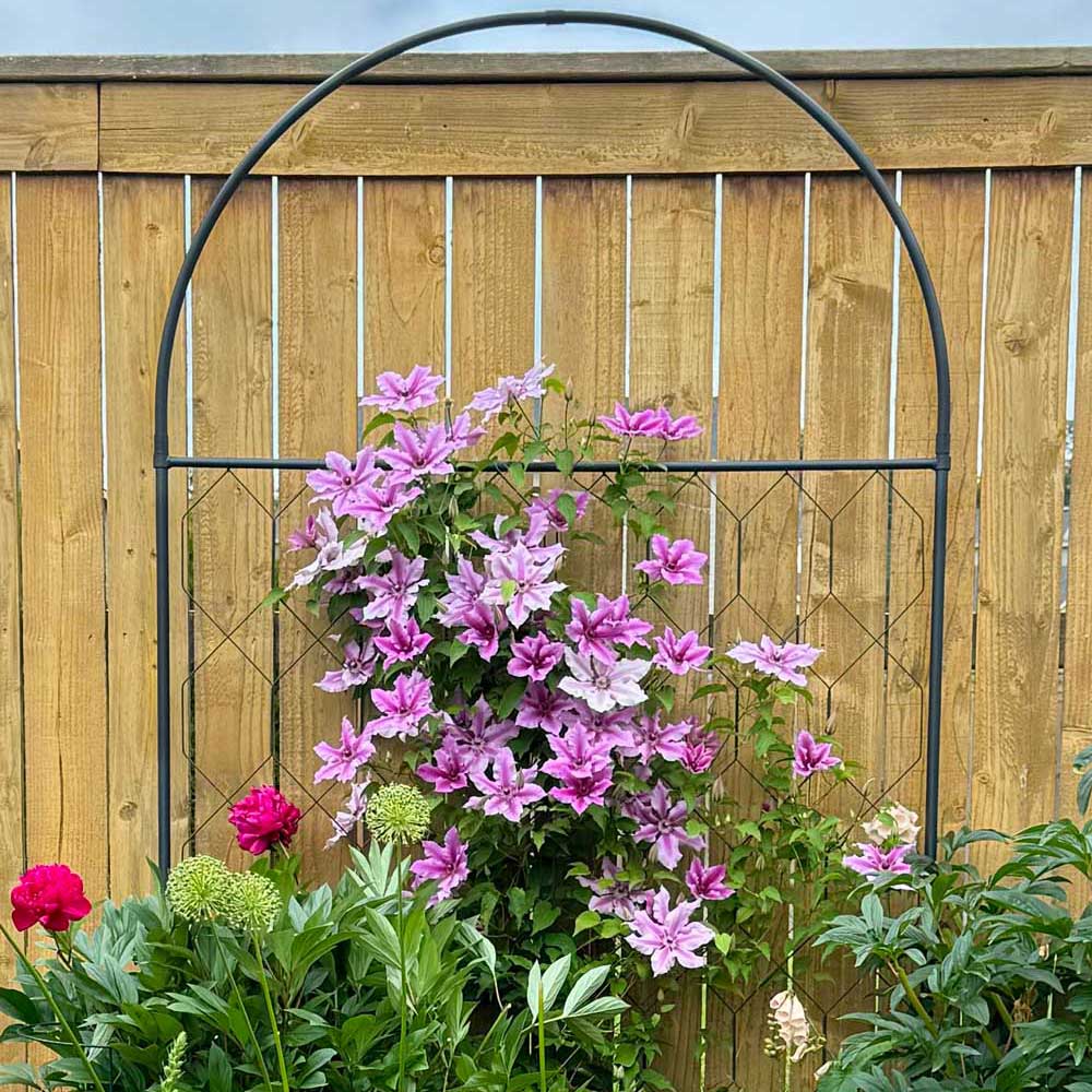 Round Screen with flowers growing up