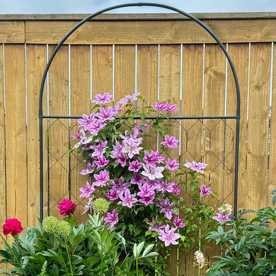 Round Screen with flowers growing up