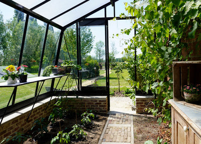 Sloped Greenhouse - Black