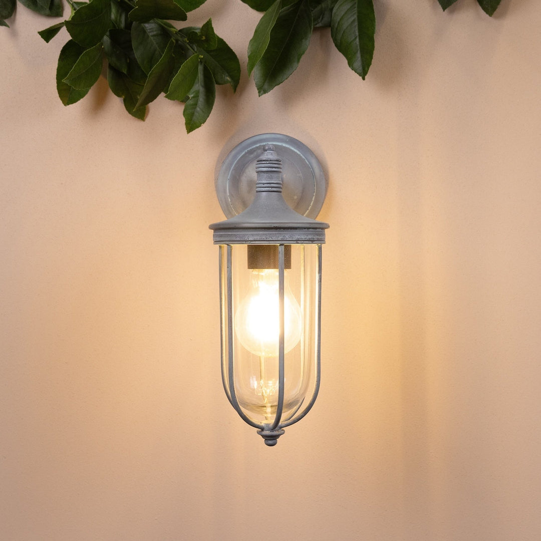 Agriframes hampstead outdoor wall lamp in an old iron finish with its bulb lit on a neutral wall with decorative leaves at the top. 