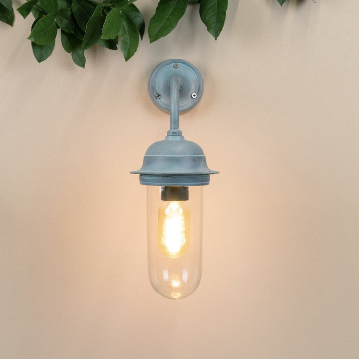 Agriframes pewsey outdoor wall lamp in a verdigris finish with its bulb lit on a neutral coloured wall with decorative leaves.