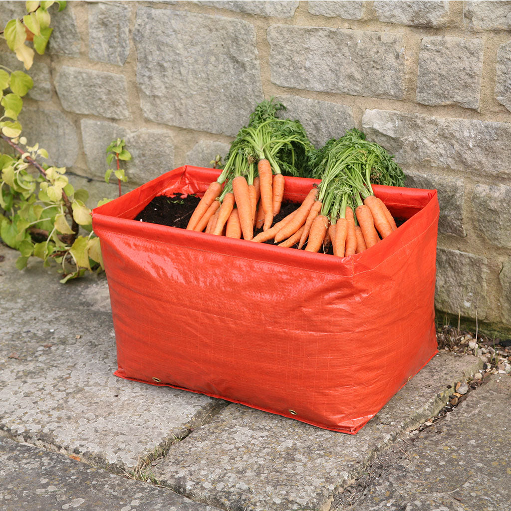 Carrot Patio Planter (Pack of 2)