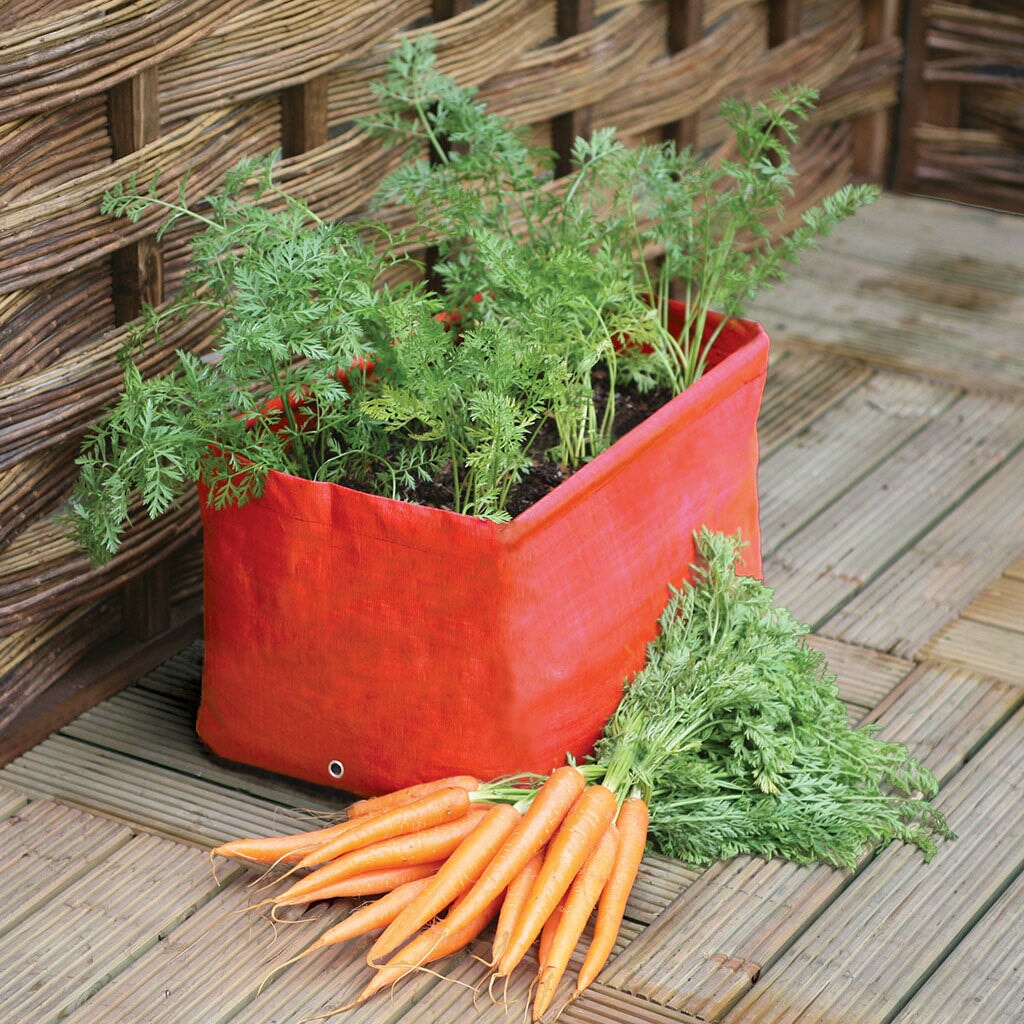 Carrot Patio Planter
