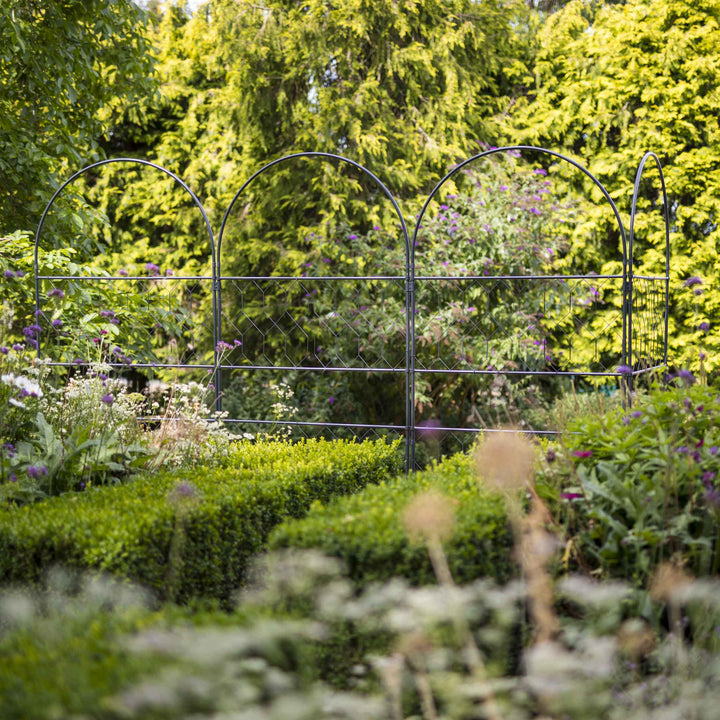 Agriframes Versatility screen on the border of a garden