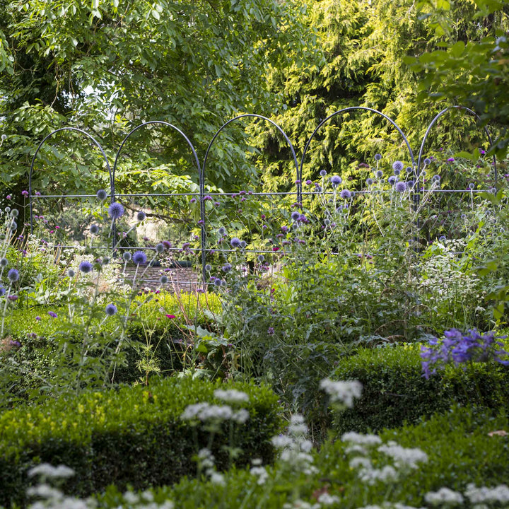 Agriframes Versatility screen from a distance in a beautiful garden