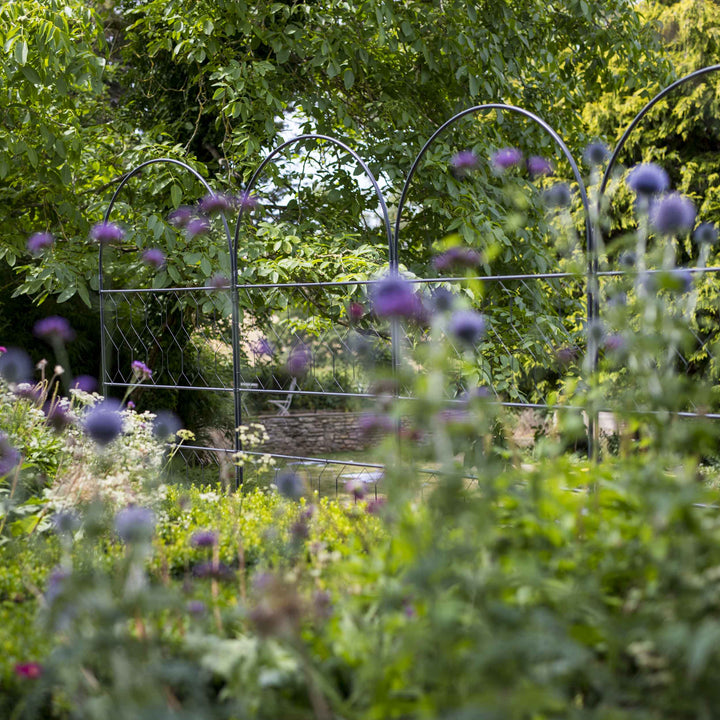 Agriframes Versatility screen viewed through a border of flowers